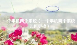 一个手机两个系统（一个手机两个系统如何更换）