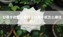 安卓手机怎么赚钱（安卓手机怎么赚钱的）