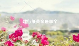 建行纸黄金是哪个