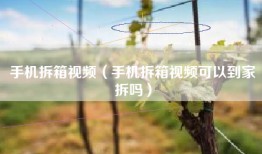 手机拆箱视频（手机拆箱视频可以到家拆吗）