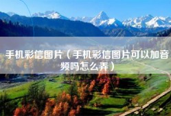 手机彩信图片（手机彩信图片可以加音频吗怎么弄）