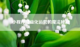 小程序精益化运营的魔法秘籍