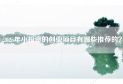 2025年小投资的创业项目有哪些推荐的？