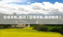 安卓手机u驱动（安卓手机u驱动程序）