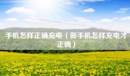 手机怎样正确充电（新手机怎样充电才正确）