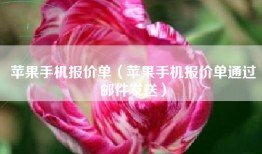 苹果手机报价单（苹果手机报价单通过邮件发送）