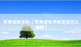 苹果虚拟手机（苹果虚拟手机定位怎么用啊）