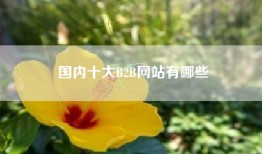 国内十大B2B网站有哪些