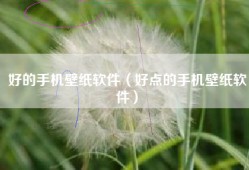 好的手机壁纸软件（好点的手机壁纸软件）