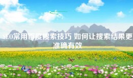 SEO常用百度搜索技巧 如何让搜索结果更准确有效