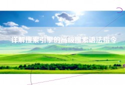 详解搜索引擎的高级搜索语法指令