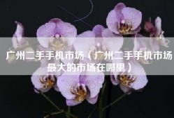 广州二手手机市场（广州二手手机市场最大的市场在哪里）