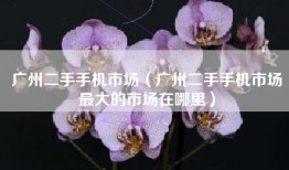 广州二手手机市场（广州二手手机市场最大的市场在哪里）