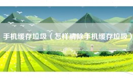 手机缓存垃圾（怎样清除手机缓存垃圾）