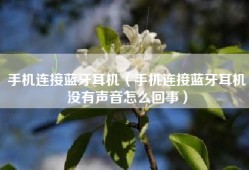 手机连接蓝牙耳机（手机连接蓝牙耳机没有声音怎么回事）