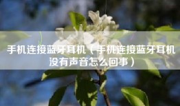 手机连接蓝牙耳机（手机连接蓝牙耳机没有声音怎么回事）