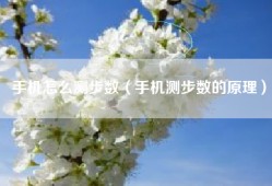手机怎么测步数（手机测步数的原理）