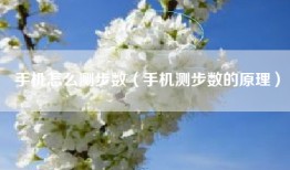 手机怎么测步数（手机测步数的原理）