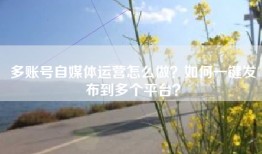 多账号自媒体运营怎么做？如何一键发布到多个平台？