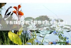 平板联想手机（联想手机平板s5000）