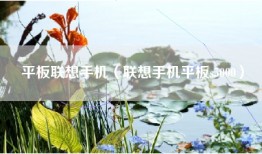 平板联想手机（联想手机平板s5000）