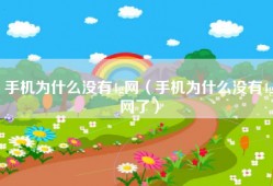 手机为什么没有4g网（手机为什么没有4g网了）