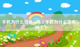 手机为什么没有4g网（手机为什么没有4g网了）