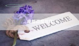 成都百度优化