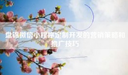 盘锦微信小程序定制开发的营销策略和推广技巧