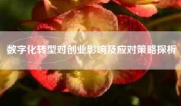 数字化转型对创业影响及应对策略探析