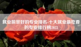 就业前景好的专业排名-十大就业最吃香的专业排行榜2023