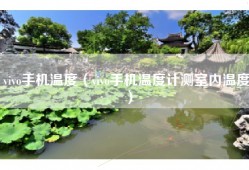 vivo手机温度（vivo手机温度计测室内温度）