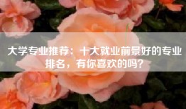 大学专业推荐：十大就业前景好的专业排名，有你喜欢的吗？