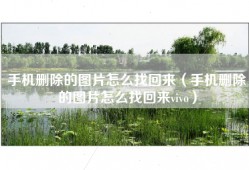 手机删除的图片怎么找回来（手机删除的图片怎么找回来vivo）