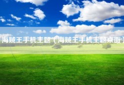 海贼王手机主题（海贼王手机主题桌面）