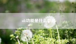 nfc功能是什么意思