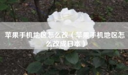 苹果手机地区怎么改（苹果手机地区怎么改成日本）