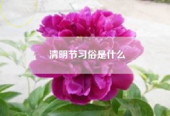 清明节习俗是什么