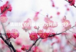 清明时节的秘密：为何雨纷纷？