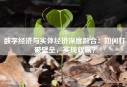 数字经济与实体经济深度融合：如何打破壁垒，实现双赢？