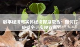 数字经济与实体经济深度融合：如何打破壁垒，实现双赢？