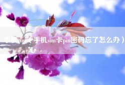 手机sim（手机sim卡pin密码忘了怎么办）