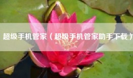超级手机管家（超级手机管家助手下载）
