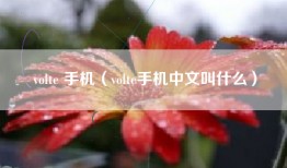 volte 手机（volte手机中文叫什么）