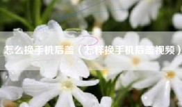 怎么换手机后盖（怎样换手机后盖视频）