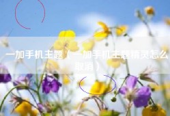 一加手机主题（一加手机主题精灵怎么取消）