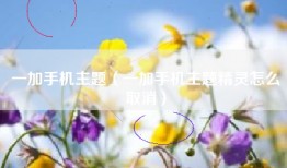 一加手机主题（一加手机主题精灵怎么取消）