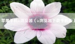 苹果手机ie浏览器（ie浏览器下载手机版）
