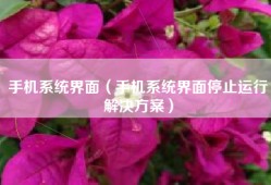 手机系统界面（手机系统界面停止运行解决方案）