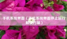 手机系统界面（手机系统界面停止运行解决方案）